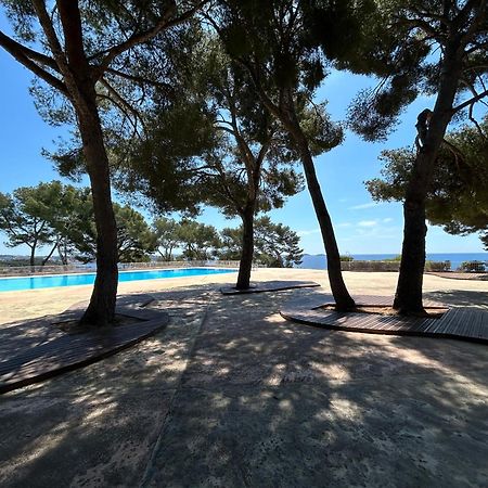 Horizon Bleu Bandol : Appartement Pieds Dans L'Eau Екстер'єр фото