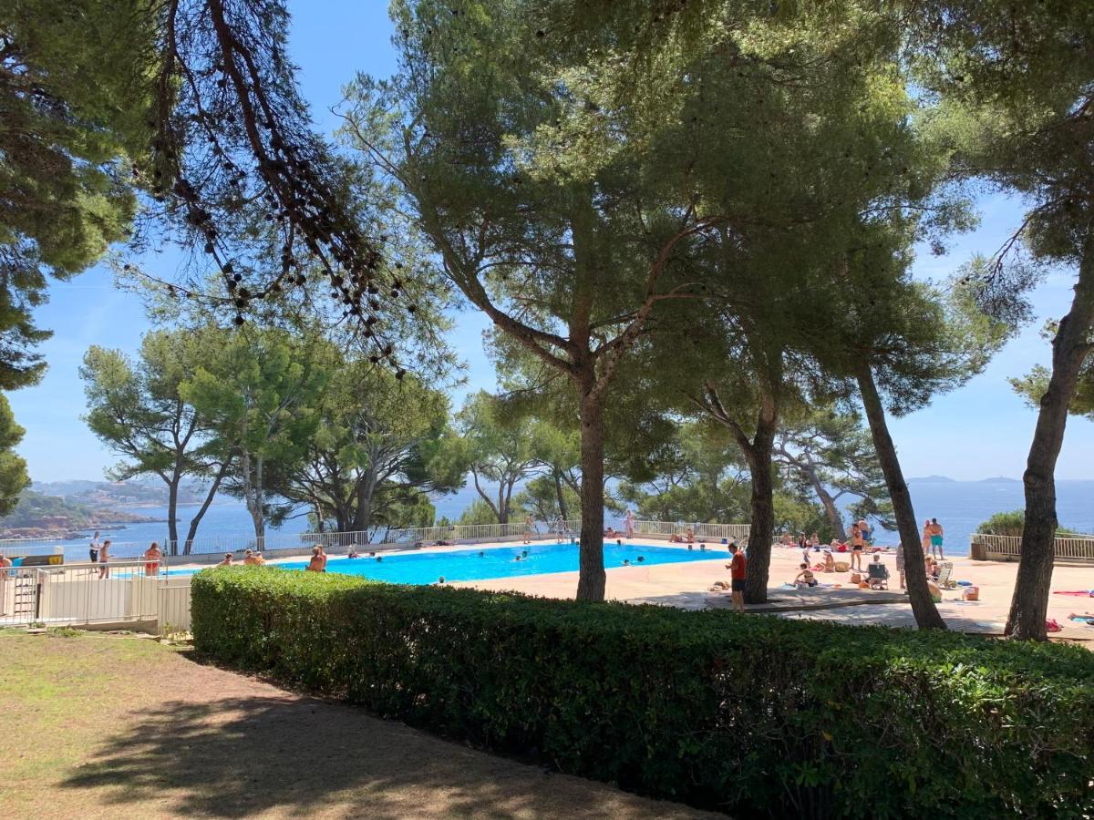 Horizon Bleu Bandol : Appartement Pieds Dans L'Eau Екстер'єр фото